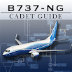 Boeing B737-8 Guida NG Pilot