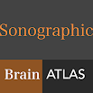 USG mózgu Atlas