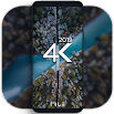 Tapety 4K - Auto Wallpaper Changer 1.6.6.2