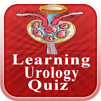 Prueba de aprendizaje de urología 1.2