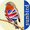 All Birds UK - A Sunbird Field Guide 1.0