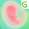 GLOW. Pregnancy & Baby Tracker 3.8.7