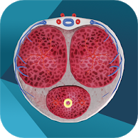 iURO Andrology Pro 1.0.3
