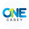 ONE Casey 1.0