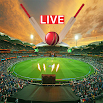 Live cricketwedstrijdscores 13.0