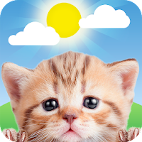 Weather Kitty - توقعات الطقس للتطبيق والقطعة