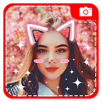Catface - Sticker on photo & Heart Crown 1.0.41