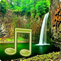 Jungle Sounds - Nature Sounds 5.0.1-40082