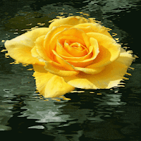 Качели желтые розы LWP 3