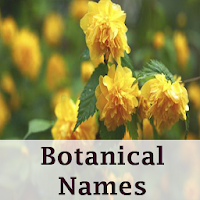 Botanical names - Offline 1.1