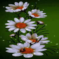 Beleza de flores brancas LWP 3