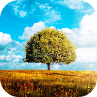 बहुत बढ़िया-भूमि 2 लाइव वॉलपेपर: एक पेड़ लगाओ !! २.१.२