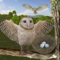 Kaligtasan ng Pamilya ng Wild Owl Bird: Bird Simulator 3.0