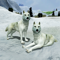 Arctic Wolf Family Simulator: Wildlife Animal Game 2.4