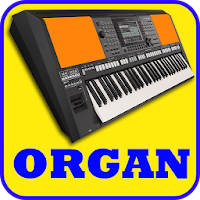 Electronic Organ, Piano, Guitar, violin & Drum Pad 2.1