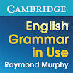 English Grammar in Use 1.11.40
