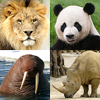 Animals Quiz - Learn All Mammals and Dinosaurs! 3.3.0