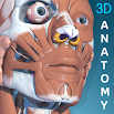 Visual Anatomy 3D - Human 1.8