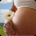 Pregnancy Calendar 2.4.7