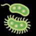 Bacteria: Types, Infections 1.0.19.74