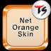 Net Orange for TS keyboard 199k