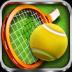 3D Tennis 1.8.4