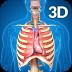 Respiratory System Anatomy 1.9