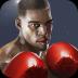 Punch Boxing 3D 1.1.4