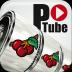 パチンコパチスロ動画　P-Tube 7.9.3