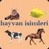 Animal names in Turkish 7