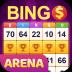 Bingo Arena-jouer avec du vrai 1.5.2