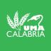 UMA Calabria 22.8.1