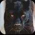 Black Panther HD Wallpaper 1.17