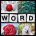 Word Picture - IQ Word Brain G 1.6.1