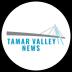 Tamar Valley News 25.03