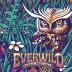 Everwild Music Festival 4.6.3