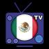 Television de Mexico - Canales 1.4