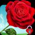 Red Rose Heart Pin Lock Screen 15.2