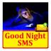 Good Night SMS Text Message 1.0