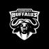 Buffalus Barbearia 1.3.0