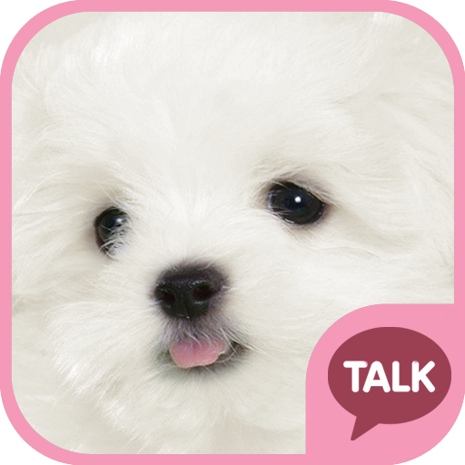 Download 하얀 강아지 (마르티스) 카톡 테마 pink ver 9.0.0 Apk for android