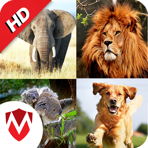 Download 150 Bruit d'animaux 415.0 Apk for android