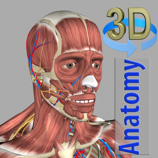 Download 3D Anatomy 6.8 Apk for android