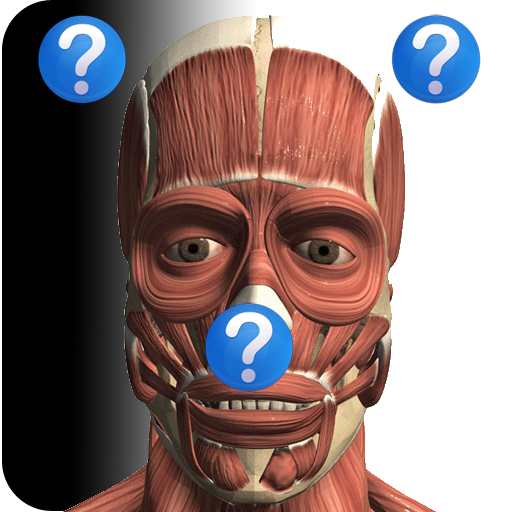 Download Anatomy Quiz 2.4 Apk for android