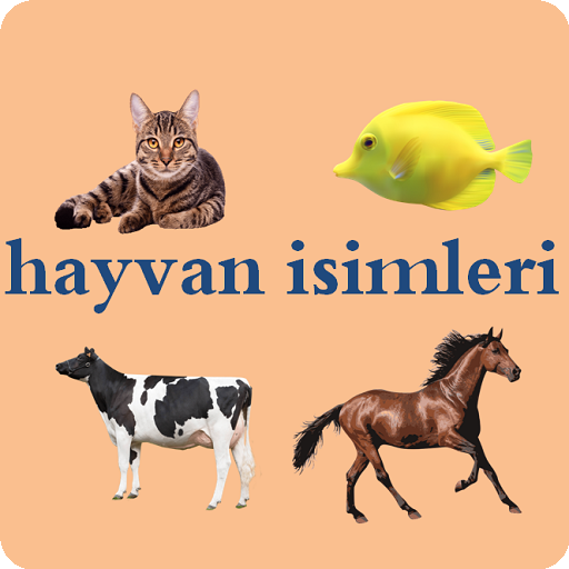 Download Animal names in Turkish 11 Apk for android