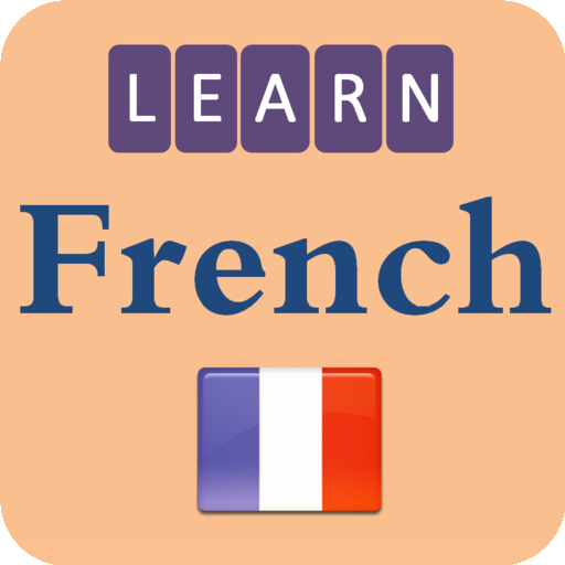 Download Apprendre la langue française 17 Apk for android