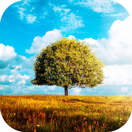 Download Awesome-Land 2 live wallpaper 2.2.0 Apk for android