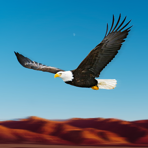 Download Bird Race Game 3D: Eagle Games 1.10 Apk for android