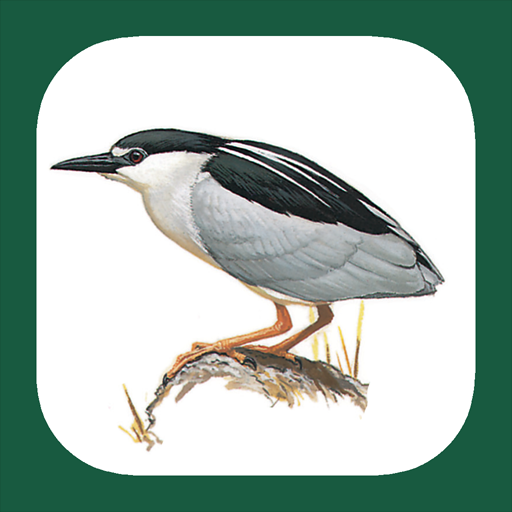 Download Birds of Benelux 1.0.0 Apk for android