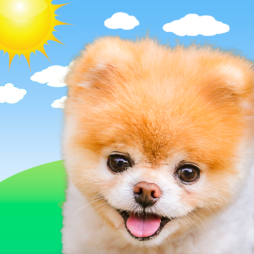 Download Boo Weather 6.0.5 Apk for android